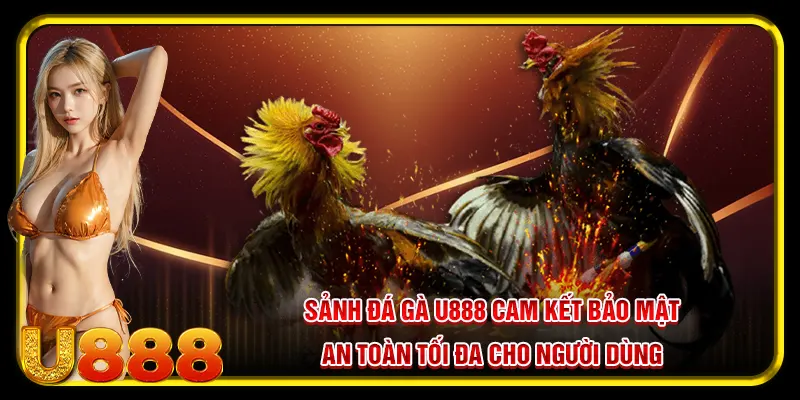 Đá Gà U888 - Tụ Điểm Cá Cược Hàng Đầu Châu Á Dành Cho Sư Kê 2025 2 Sảnh đá gà U888 cam kết bảo mật an toàn tối đa cho người dùng