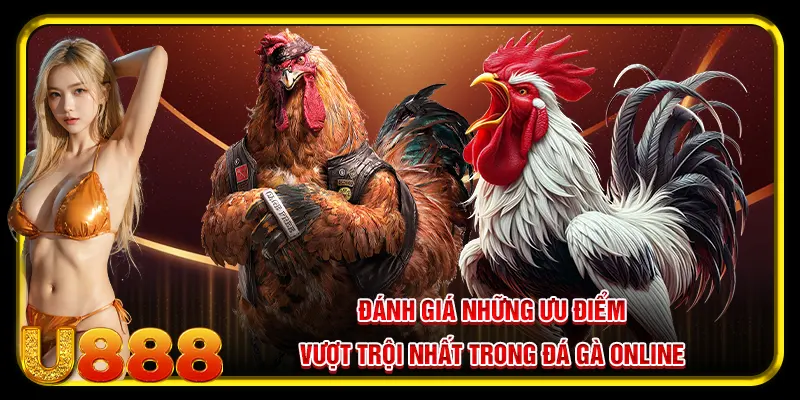 Đá Gà Online Khẳng Định Vị Thế Với Tiện Ích Hấp Dẫn Và Thú Vị 3 Đánh giá những ưu điểm vượt trội nhất trong đá gà online